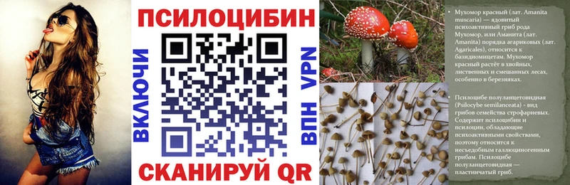 дарнет шоп Таганрог Псилоцибиновые грибы MAGIC MUSHROOMS