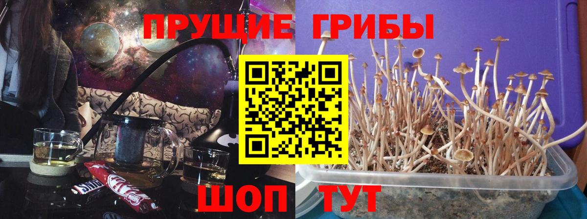 Галлюциногенные грибы Magic Shrooms  Вход с VPN  Таганрог 
