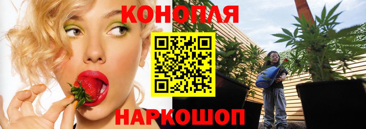 Бошки Шишки MAZAR  Канабис Bruce Banner  Конопля тримм  Таганрог 